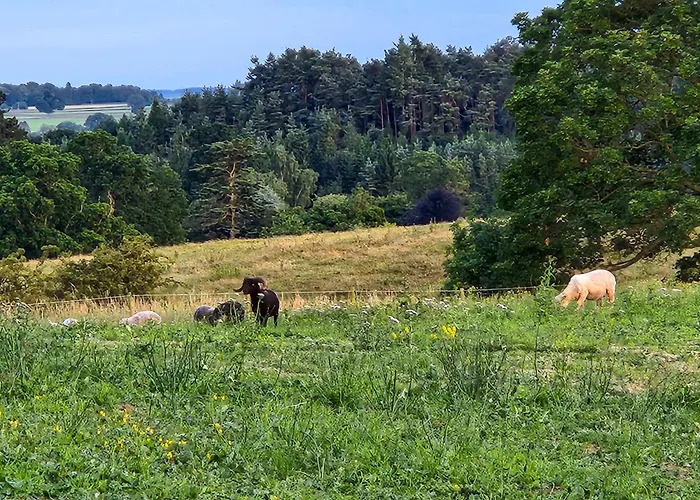Mickledale At Wetheral Cottages