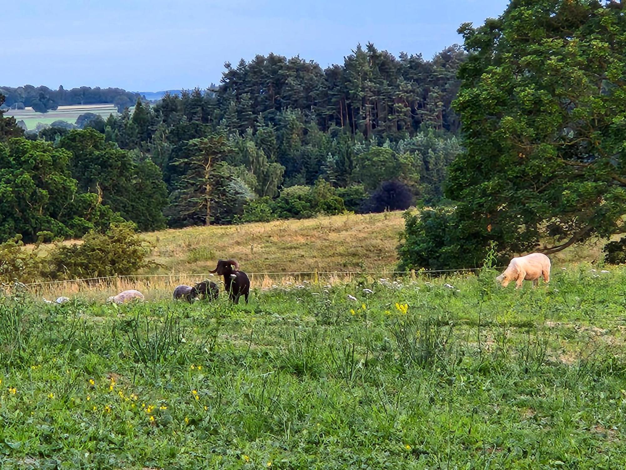 Mickledale At Wetheral * Great Salkeld